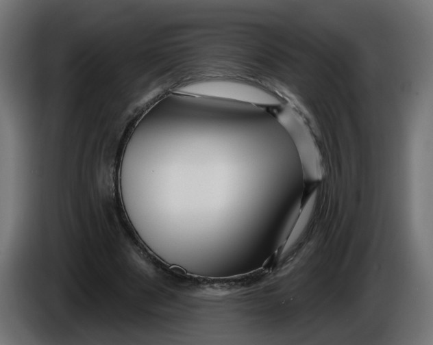 X0000086100489200704132150