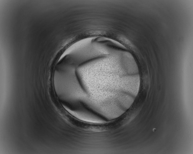 X0000086100490200704132150