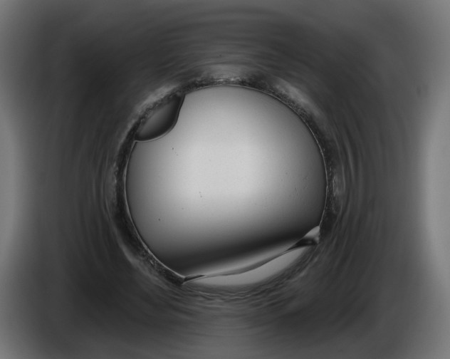 X0000086100492200704132150