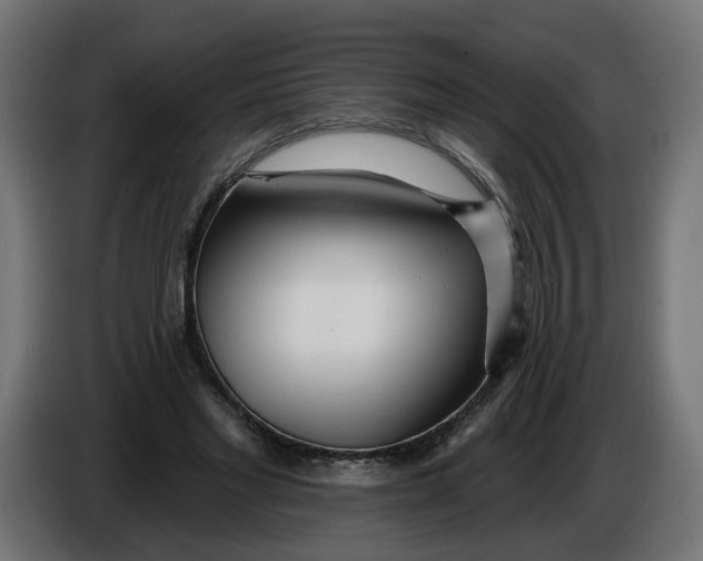 X0000086100493200704132150