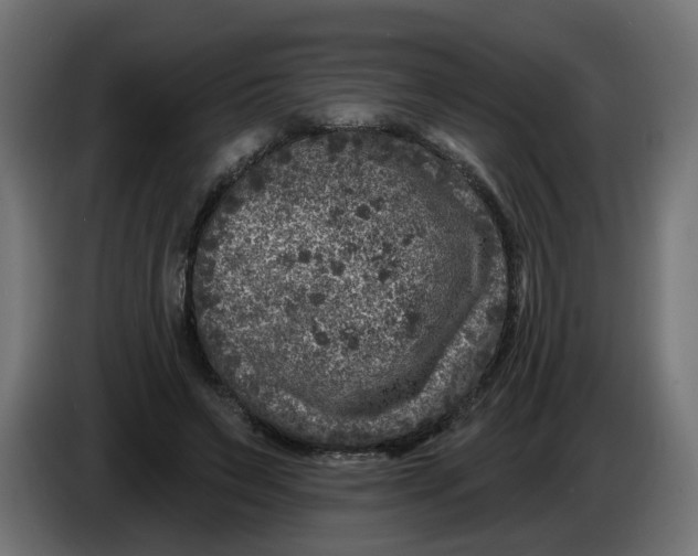 X0000086100495200704132150