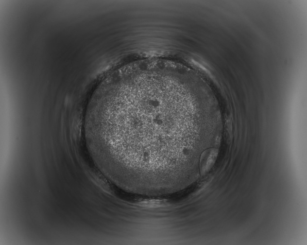 X0000086100499200704132150