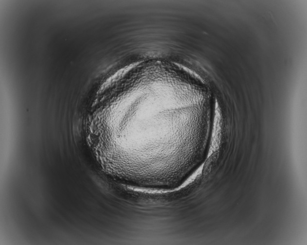 X0000086100503200704132150