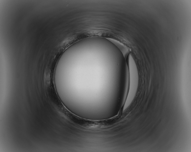 X0000086100504200704132150
