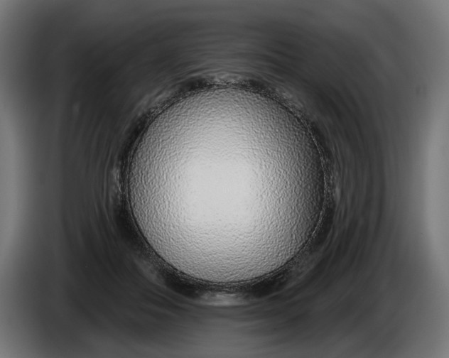X0000086100506200704132150