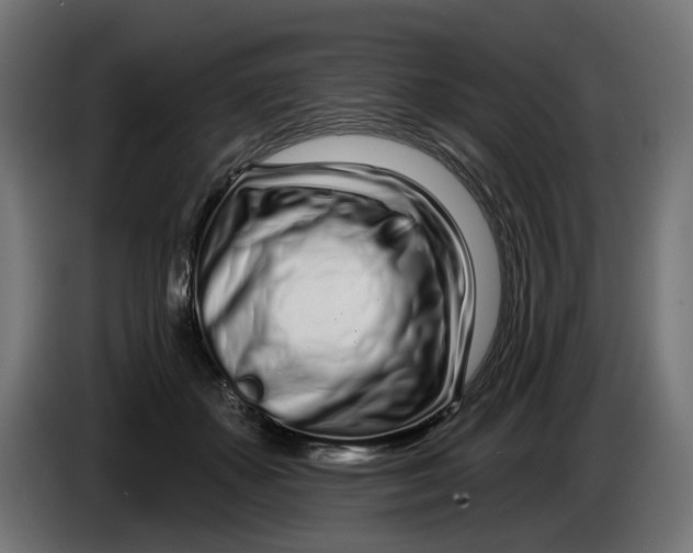 X0000086100507200704132150