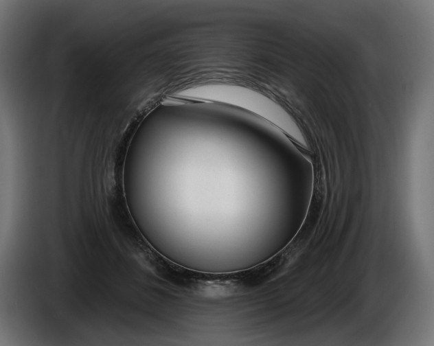X0000086100508200704132150