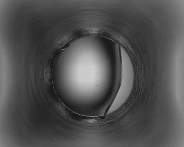 X0000086100509200704132150
