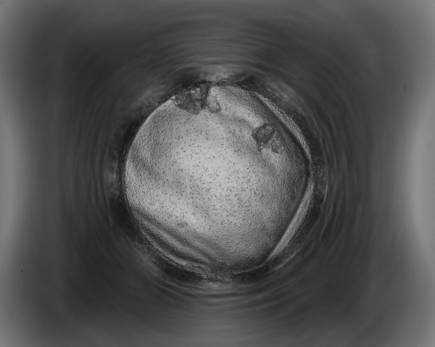 X0000086100510200704132150