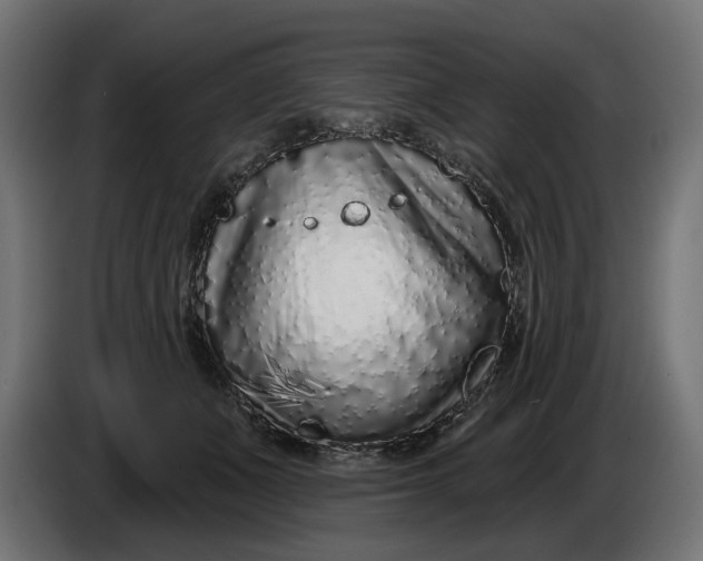 X0000086100511200704132150