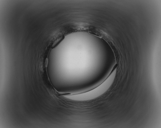 X0000086100512200704132150