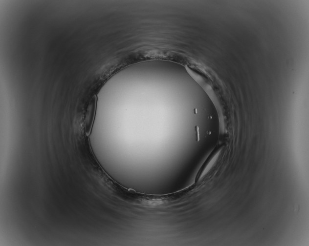 X0000086100513200704132150