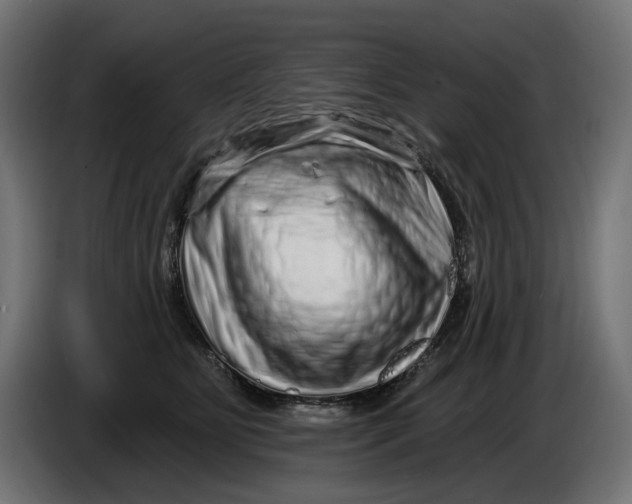 X0000086100515200704132150