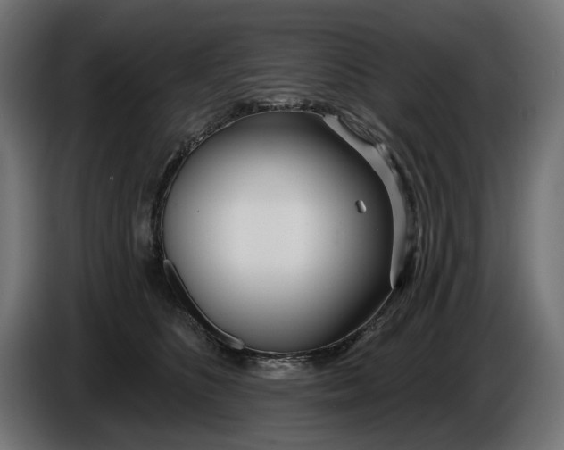 X0000086100516200704132150