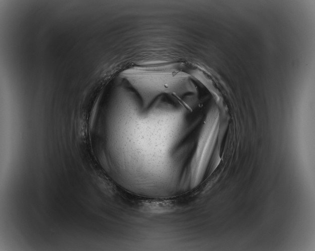 X0000086100517200704132150