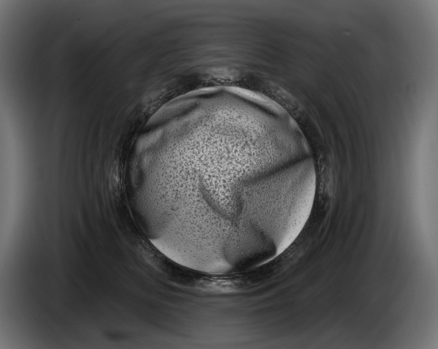 X0000086100518200704132150