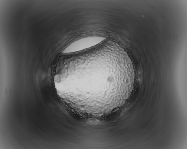 X0000086100519200704132150