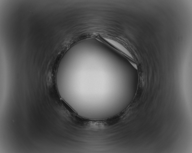 X0000086100520200704132150