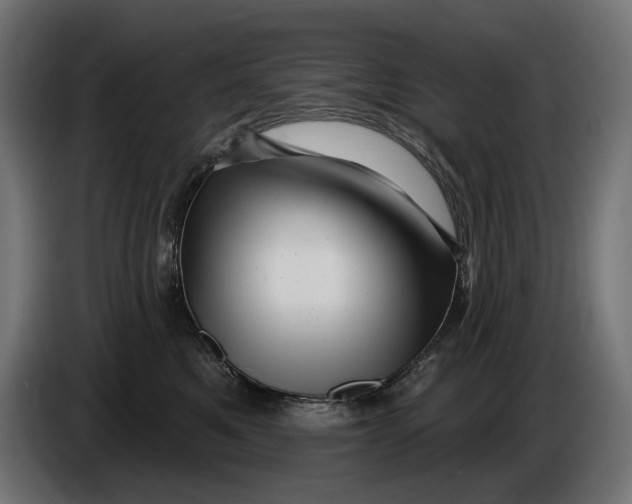 X0000086100521200704132150