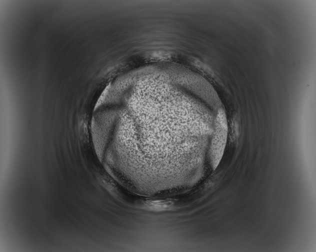 X0000086100522200704132150