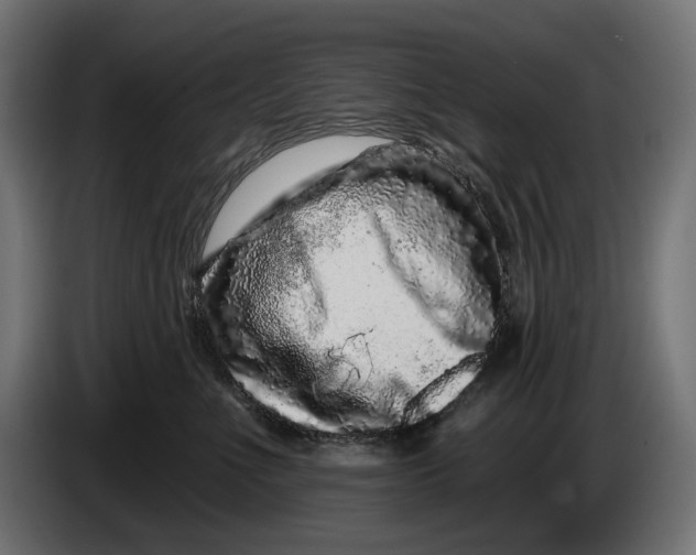 X0000086100523200704132150