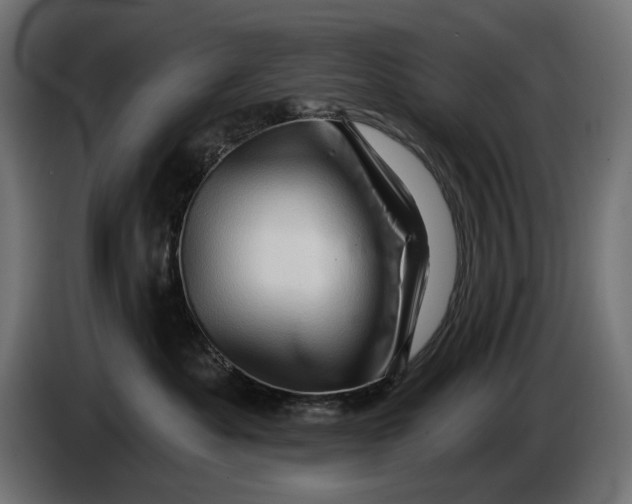 X0000086100525200704132150