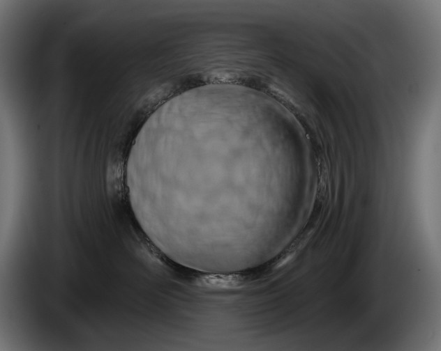 X0000086100526200704132150