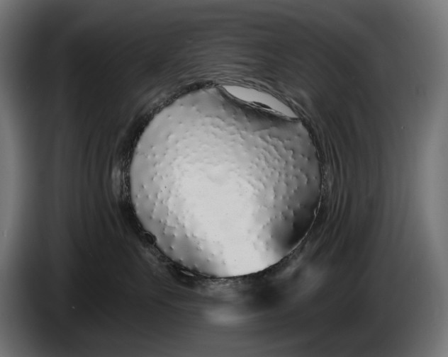 X0000086100527200704132150