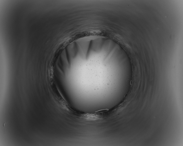 X0000086100528200704132150