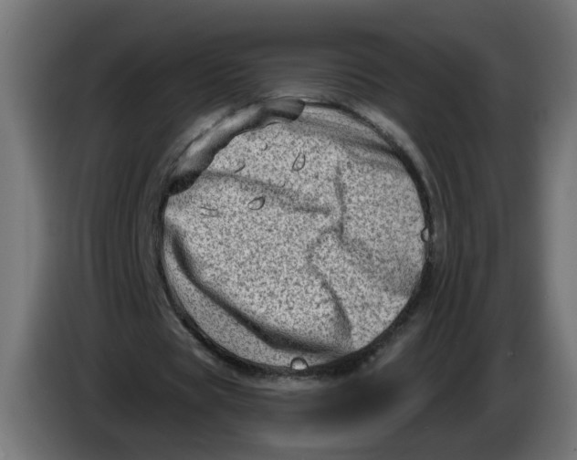 X0000086100529200704132149