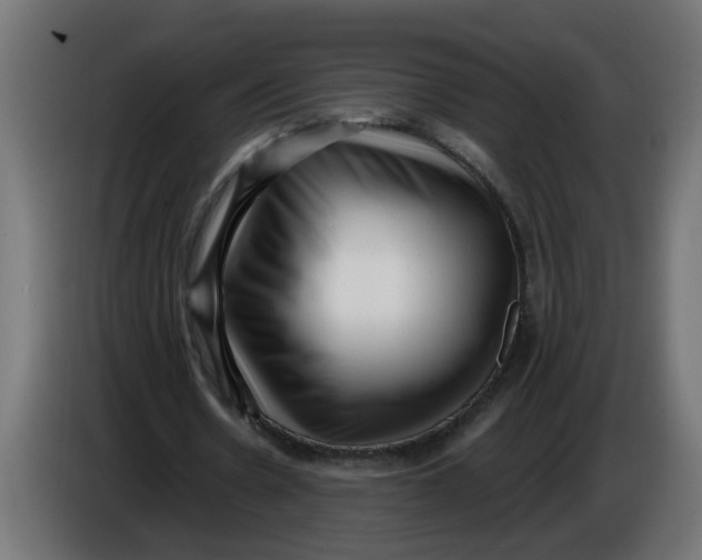 X0000086100530200704132149
