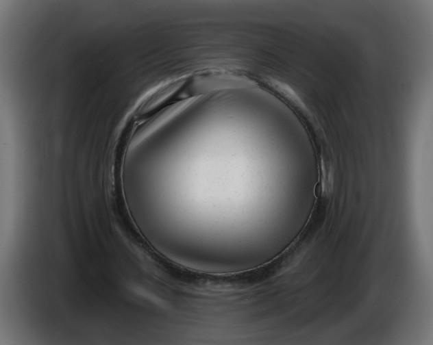 X0000086100531200704132149