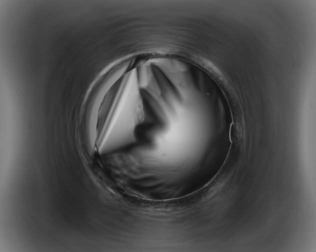 X0000086100532200704132149