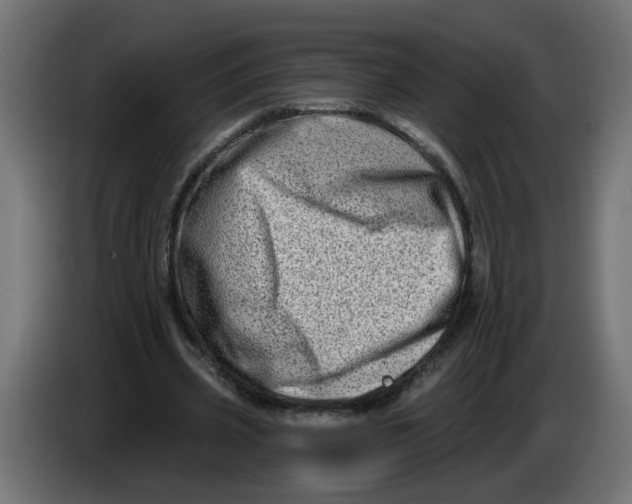X0000086100533200704132149