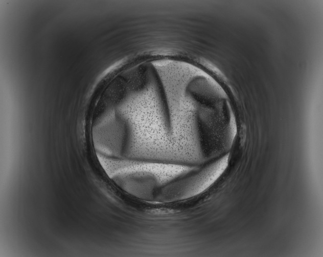 X0000086100535200704132149
