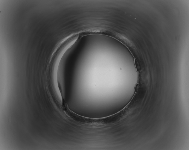X0000086100536200704132149