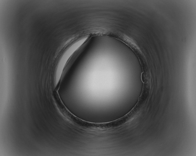 X0000086100538200704132149