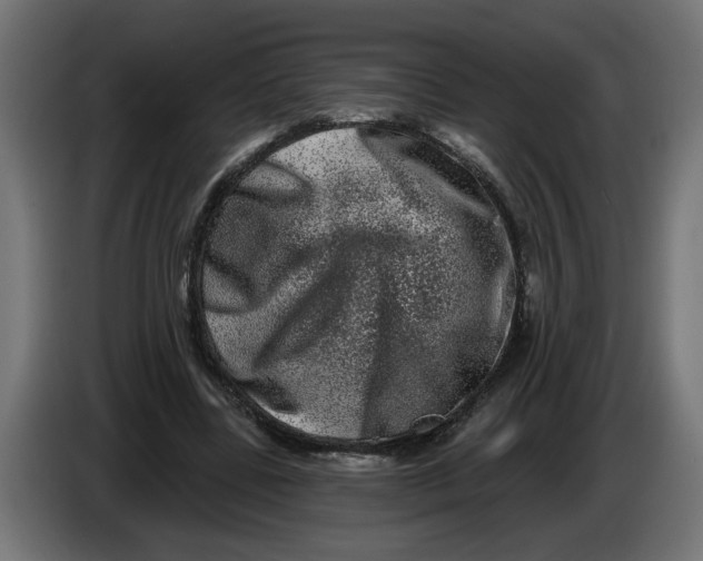 X0000086100539200704132149