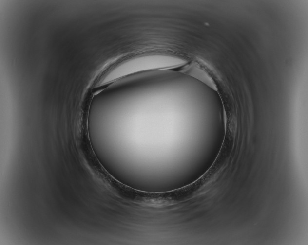 X0000086100540200704132149