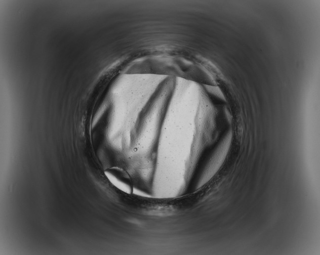 X0000086100543200704132149