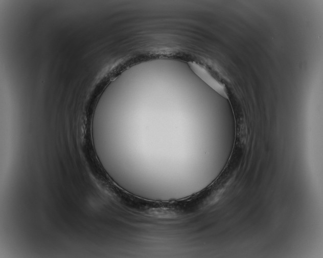 X0000086100544200704132149