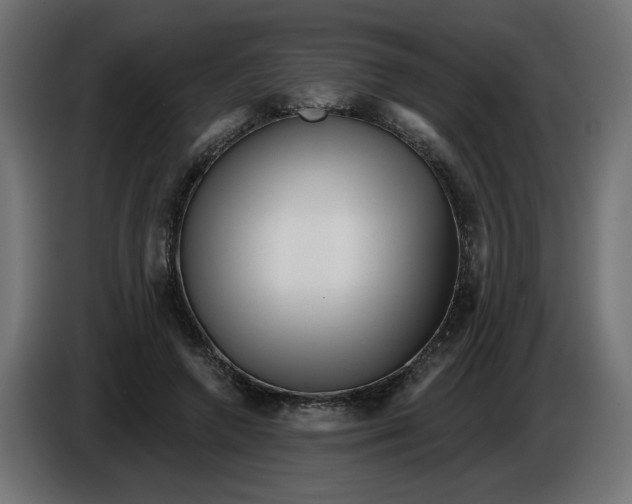 X0000086100546200704132149