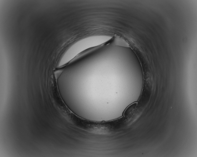 X0000086100547200704132149