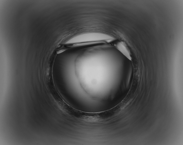 X0000086100548200704132150