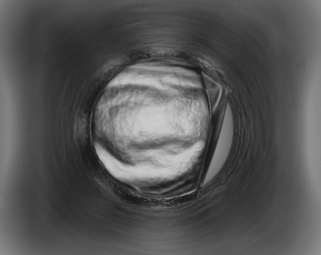 X0000086100550200704132150