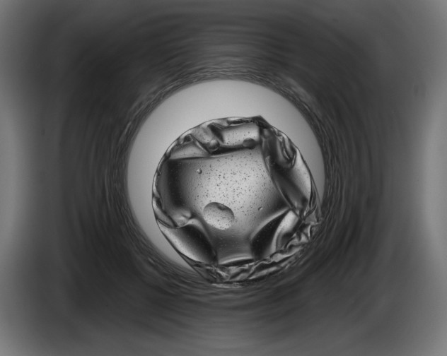X0000086100552200704132150