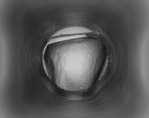 X0000086100553200704132150