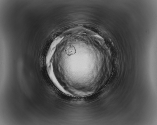 X0000086100554200704132150