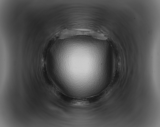 X0000086100555200704132150