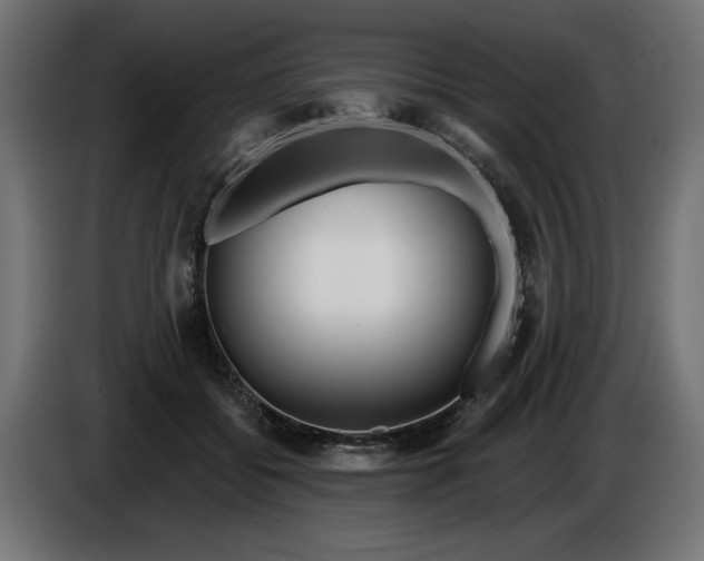 X0000086100556200704132150